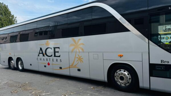 Bus image 4